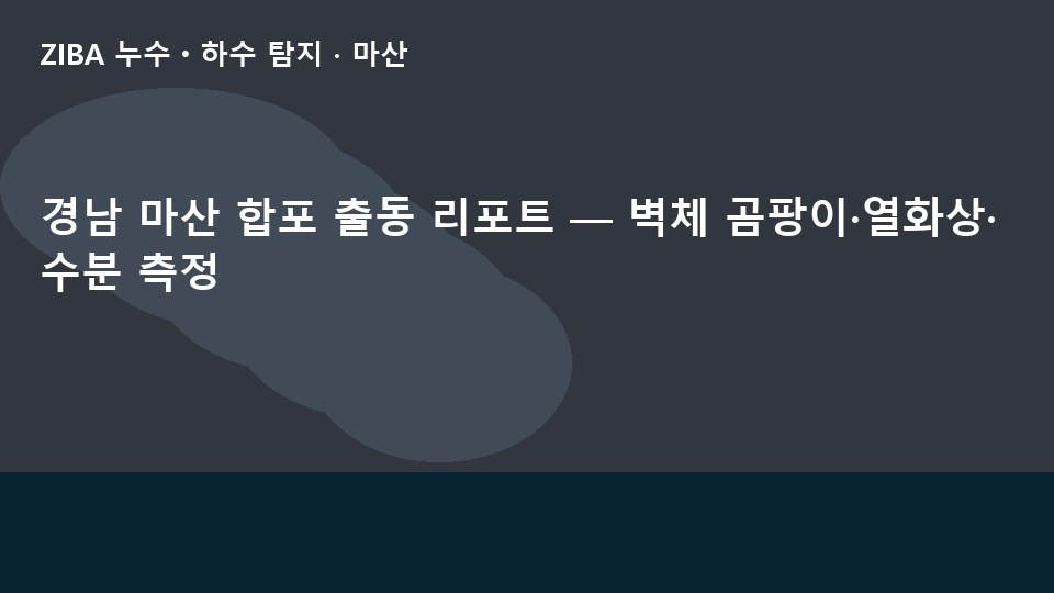 경남 마산 합포 출동 리포트 — 벽체 곰팡이·열화상·수분 측정